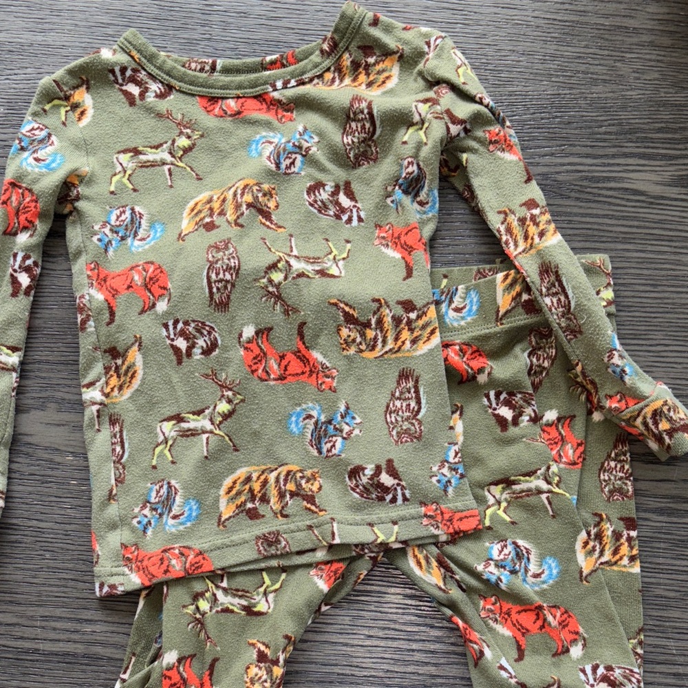 Cat & Jack Kids Animal Print Pajamas - Green